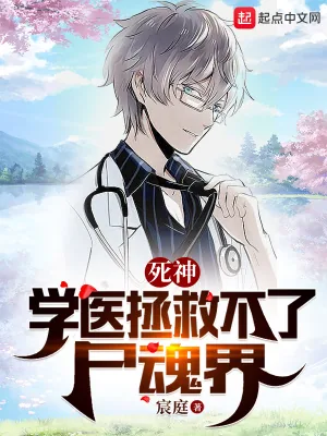 《死神：学医拯救不了尸魂界》小说封面