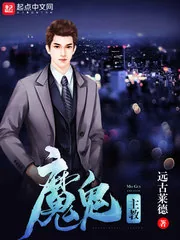 《魔鬼主教》小说封面