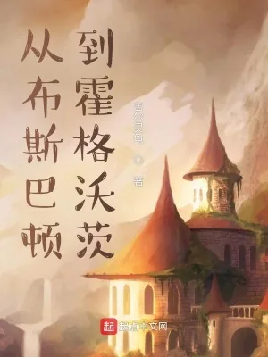 《从布斯巴顿到霍格沃茨》小说封面
