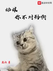 《姑娘你不对劲啊》小说封面