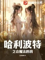 《哈利波特之会魔法的我》小说封面
