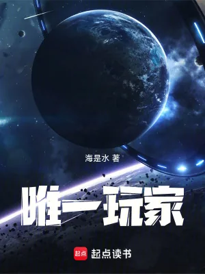 《唯一玩家》小说封面