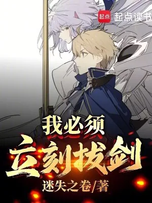 《我必须立刻拔剑！》小说封面