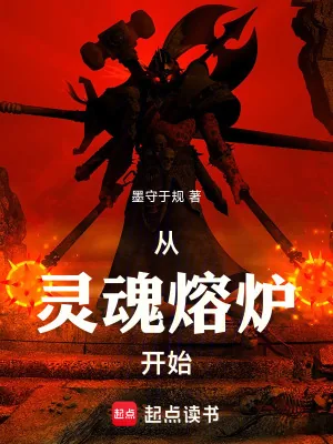 《从灵魂熔炉开始》小说封面