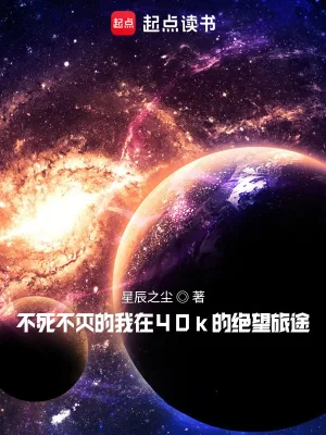 《不死不灭的我在40k的绝望旅途》小说封面