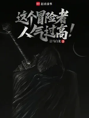 《这个冒险者人气过高》小说封面