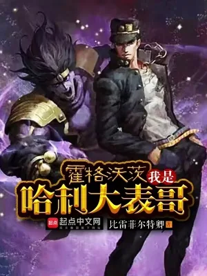 《霍格沃茨：我是哈利大表哥》小说封面