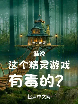 《谁说这个精灵游戏有毒的？》小说封面