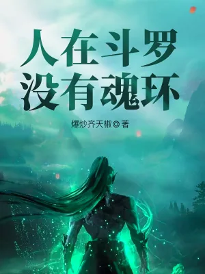 《人在斗罗，没有魂环》小说封面