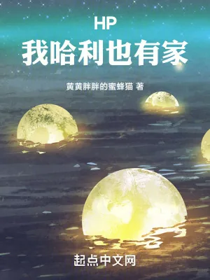 《霍格沃茨:我哈利也有家》小说封面