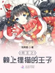 《网王之赖上狸猫的王子》小说封面