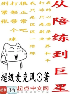《从陪练到巨星》小说封面