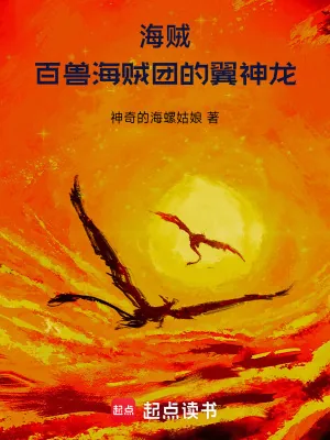 《海贼：百兽海贼团的翼神龙》小说封面