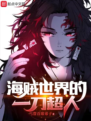 《海贼世界的一刀超人》小说封面
