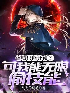 《盗贼只能开锁？可我能无限偷技能》小说封面