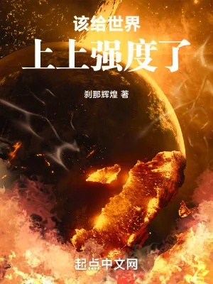 《该给世界上上强度了》小说封面