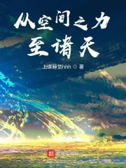《从空间之力至诸天》小说封面