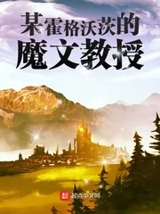 《某霍格沃茨的魔文教授》小说封面