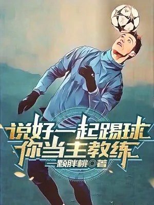 《说好一起踢球，你当主教练？》小说封面