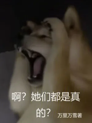 《啊?她们都是真的?》小说封面