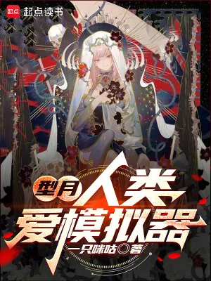 《型月，人类爱模拟器》小说封面