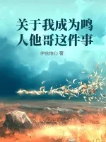 《关于我成为鸣人他哥这件事》小说封面