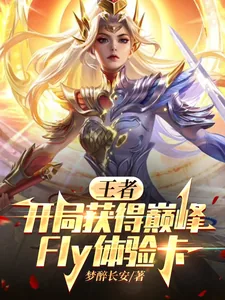 《王者:开局获得巅峰Fly体验卡》小说封面