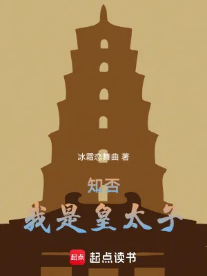 《知否：我是皇太子》小说封面