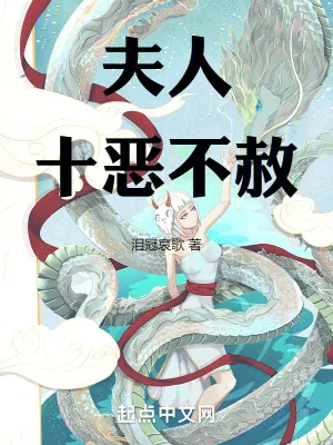 《夫人十恶不赦》小说封面