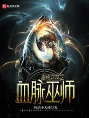 《霍格沃茨之血脉巫师》小说封面