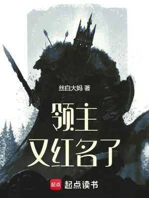 《领主又红名了》小说封面