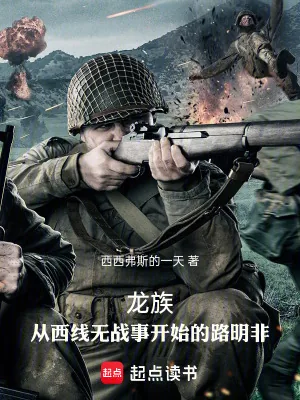 《龙族：从西线无战事开始的路明非》小说封面