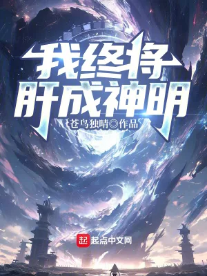 《我终将肝成神明》小说封面