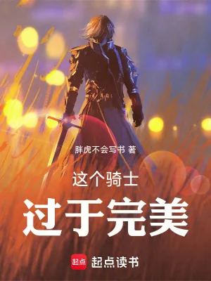 《这个骑士过于完美》小说封面