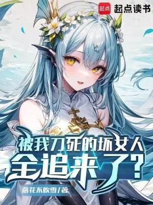 《被我刀死的坏女人全追来了？》小说封面