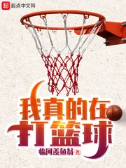 《我真的在打篮球》小说封面