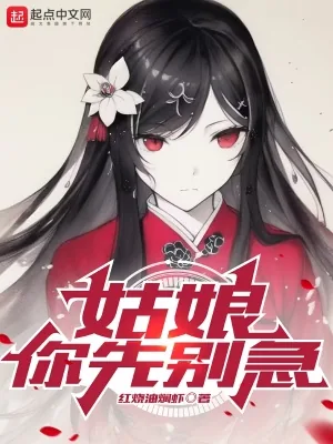 《姑娘，你先别急》小说封面