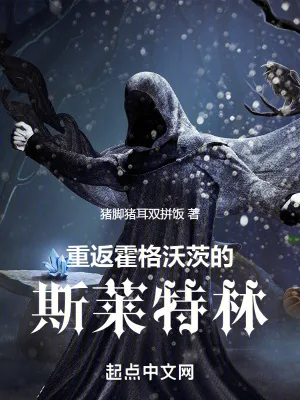 《回到霍格沃茨的古代巫师》小说封面