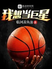 《我想当巨星》小说封面
