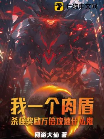 《我一个肉盾，杀怪奖励万倍攻速什么鬼》小说封面