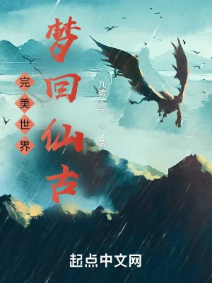 《完美世界：梦回仙古》小说封面