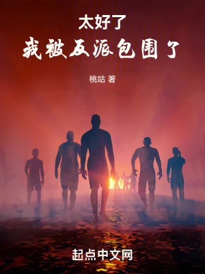 《太好了，我被反派包围了》小说封面