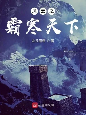 《风云之霜寒天下》小说封面