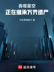 《吞噬星空：正在继承万界遗产》小说封面