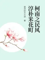 《柯南之民风淳朴米花町》小说封面