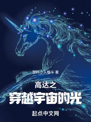 《高达之穿越宇宙的光》小说封面