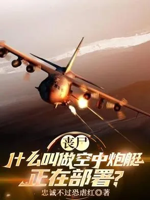 《丧尸：什么叫做空中炮艇正在部署》小说封面