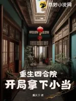 《重生四合院，开局拿下小当》小说封面