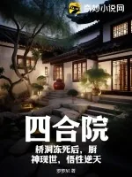 《四合院：桥洞冻死后，厨神现世，悟性逆天》小说封面