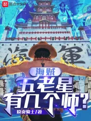 《海贼：五老星有几个师？》小说封面